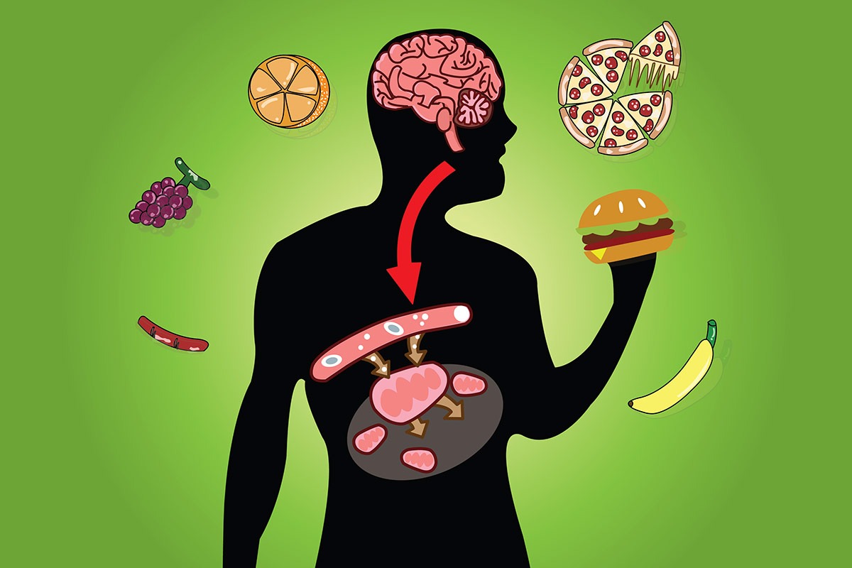 Невидљиви фактори који утичу на ваш метаболизам